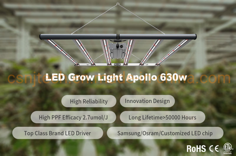 ETL/CE Certified Commercial Best LED Plant Grow Light 6bars 650W Full Spectrum LED Indoor Grow Bar Lights