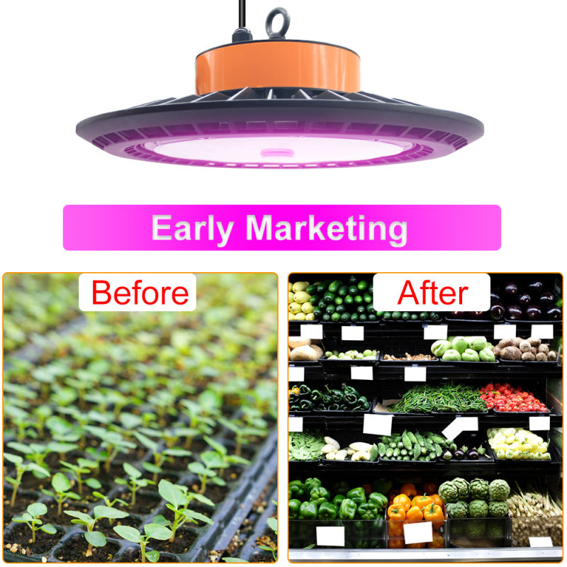 Hot Selling LED Grow Lights for Plants Indoor with Best Quality