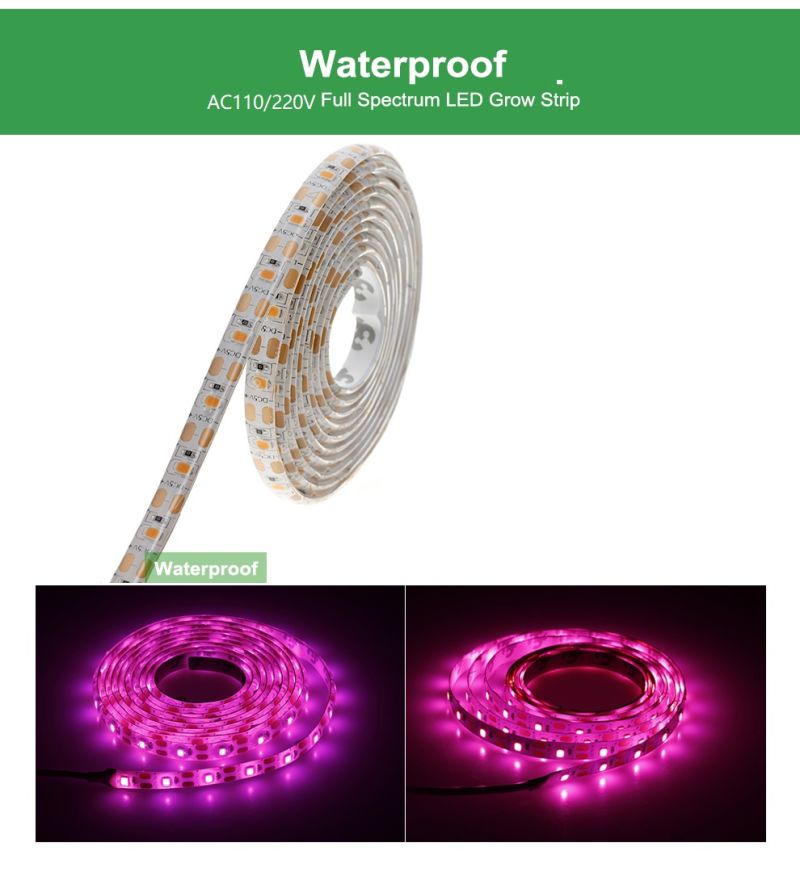 LED Grow Light Full Spectrum Grow Light Strip 2835 Chip LED Phyto Lamp for Plants 730nm Far Red LED Grow Lights