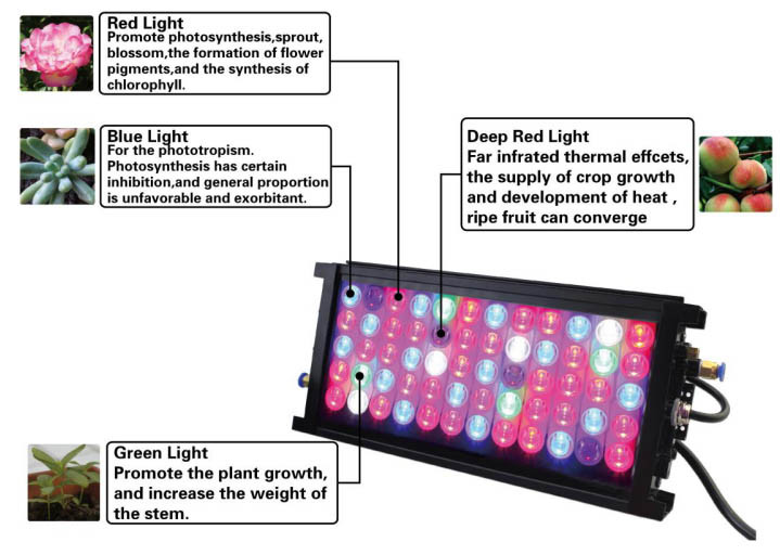 LED Panel Light for Crop Vegetable Growing Spot Light