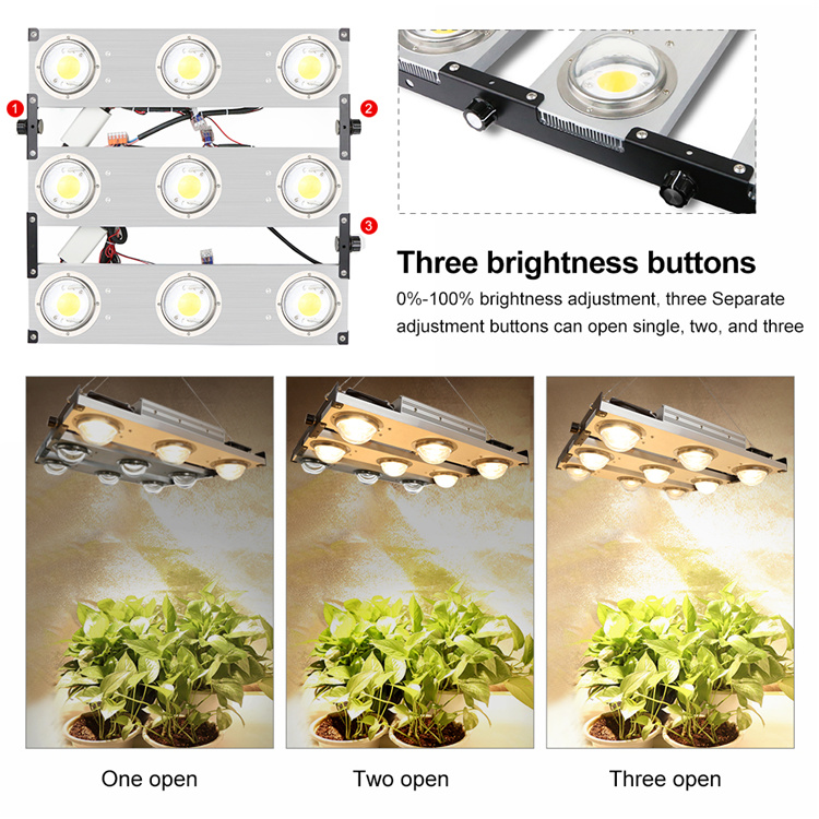 High Power 1000watt Crees Cxb3590 Grow Light 3500K Dimmable COB LED Grow Light Full Spectrum Grow Lights for Indoor