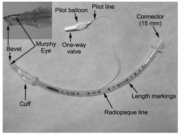 Endotracheal Tube Standard Anesthesia for Short or Long-Term Intubations Producer