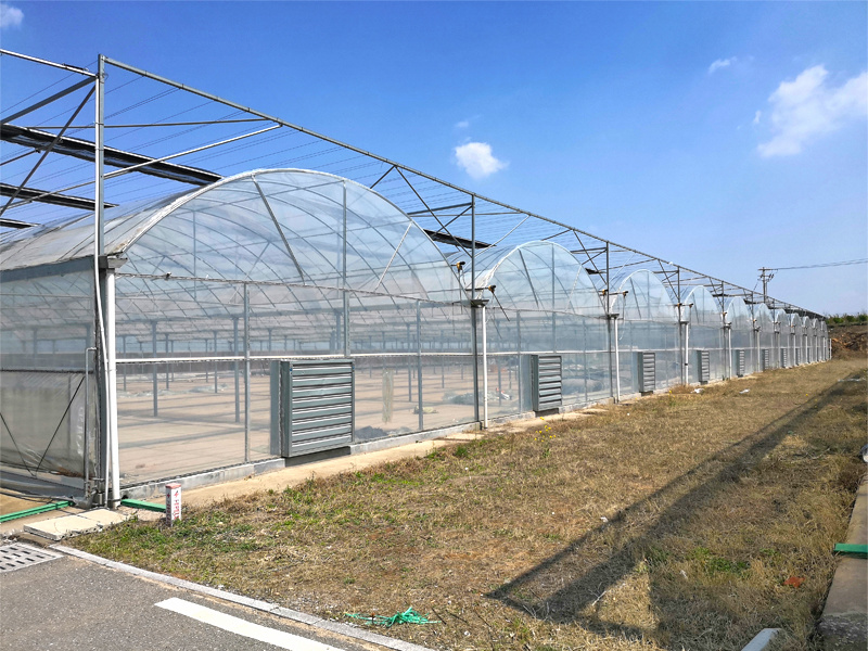 Multi Span Polyethylene Film Greenhouse Flower House Tomato Greenhouse