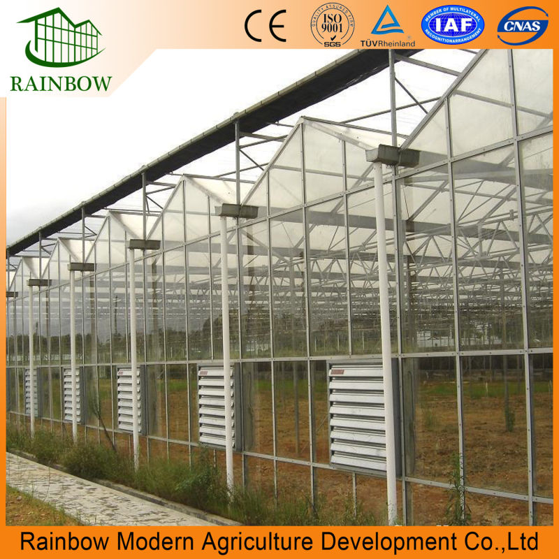 Factory Supply Greenhouse Ventilation Fan