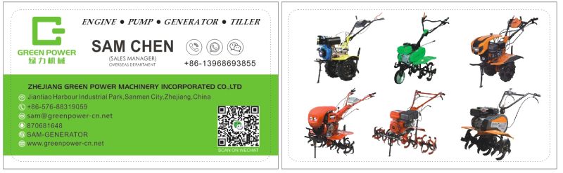 2kw 2.5kw 3kw 5.5HP 6.5HP 7.5HP 9.0HP 13HP Generator Gasoline