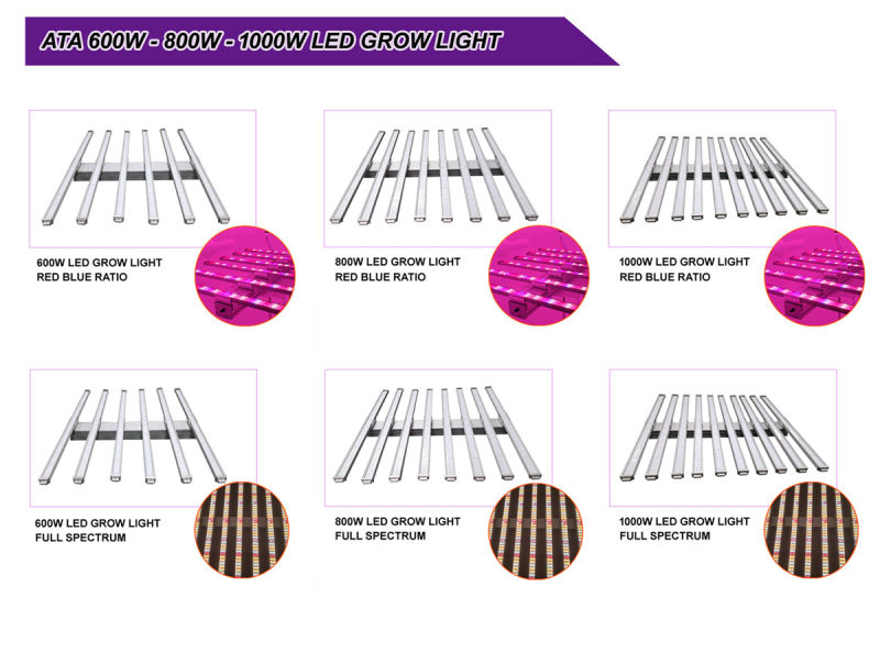 LED Grow Lamp Full Spectrum 300W/400W/600W/700W/800W/900W/1000W/1200W LED Grow Light