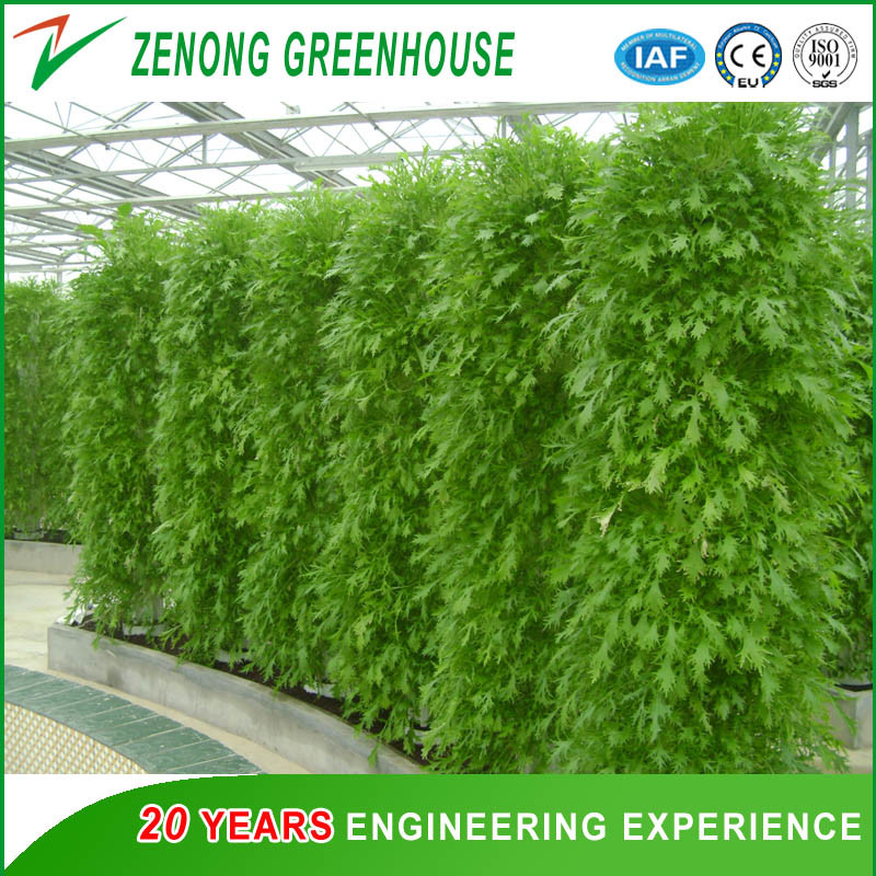 Commercial Soilless Cultivation Nft Hydroponic System Kinds of Hydroponic Equipment