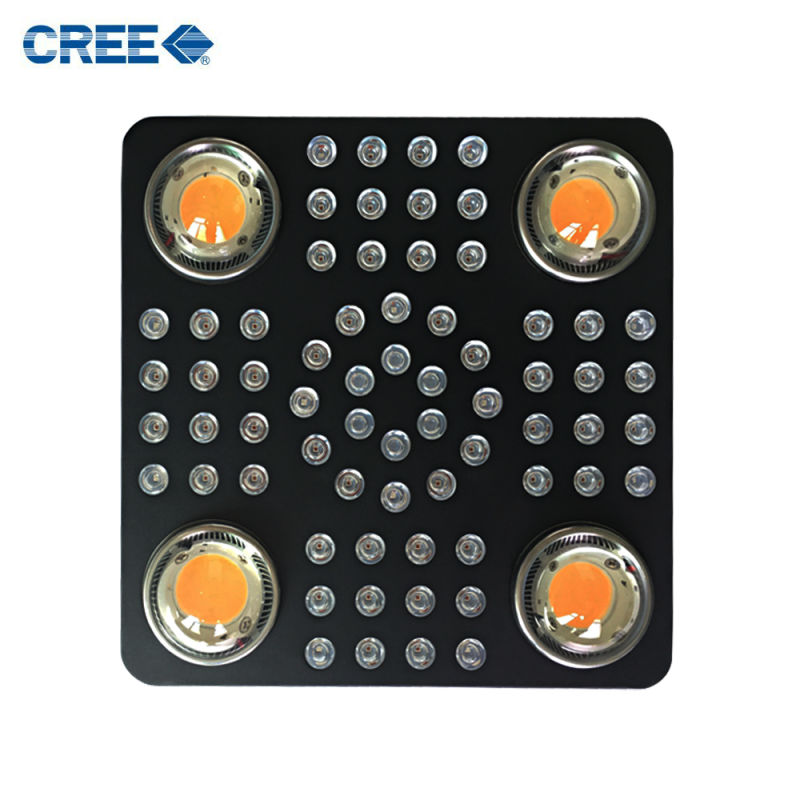 Full Spectrum Cxb3070 1000W LED Plant Grow Lights for Medical Plants