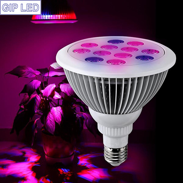 30degree Lense 12W 24W E27 LED Grow Lights for Hydroponics