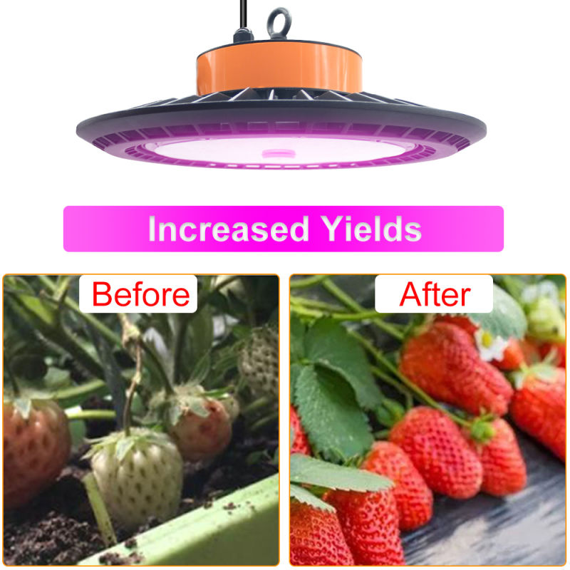 Hot Selling LED Grow Lights for Plants Indoor with Best Quality