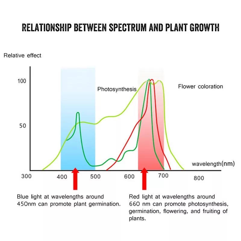 LED Grow Lights, Full Spectrum LED Plant Lights for Plants