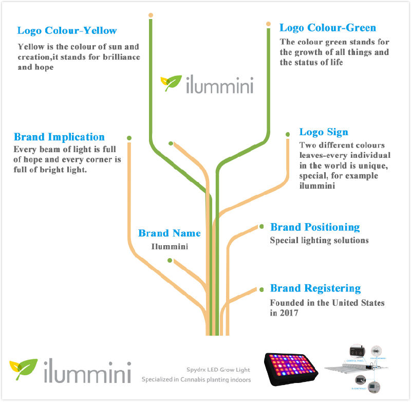 Indoor Growing Light Full Spectrum 320W 640W LED Grow Lights for Medical Weeds