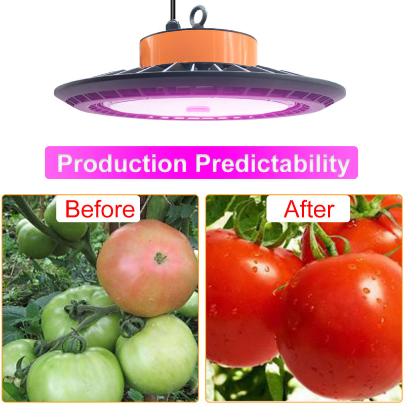 Hot Selling LED Grow Lights for Plants Indoor with Best Quality