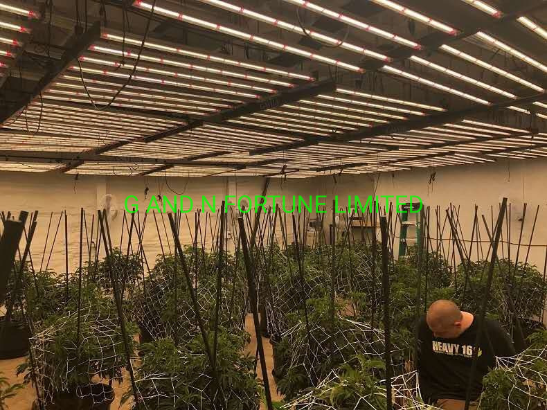 Grow Lights for Indoor Growing Systems Hydroponic LED Grow Lights