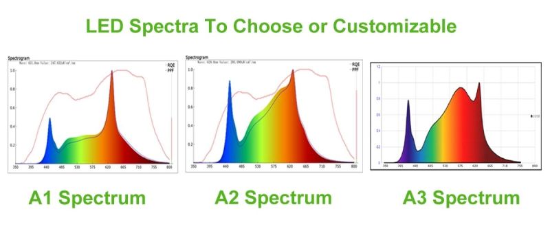 Aglare Waterproof LED Light Greenhouse Full Spectrum LED Grow Plant