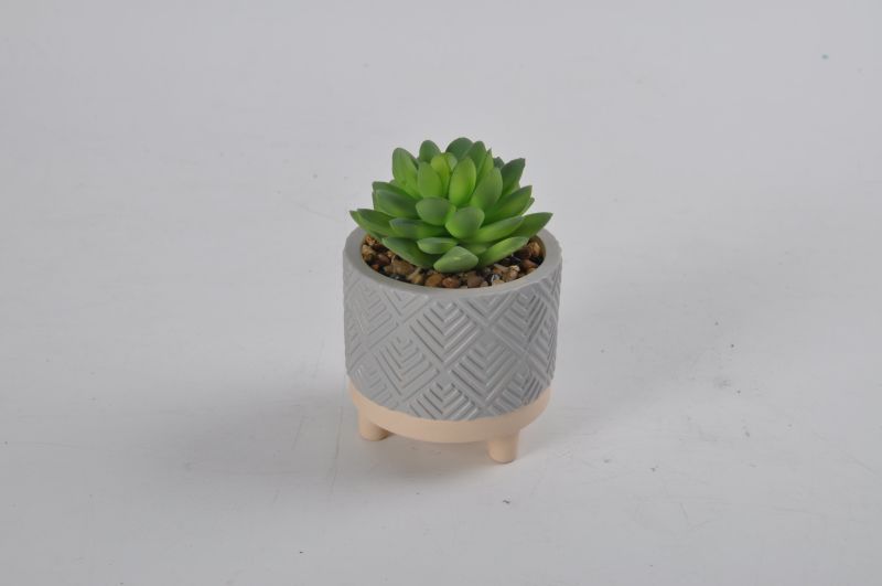 Different Styles Succulent Plant Artificial Plants Flowers with Ceramic Pot