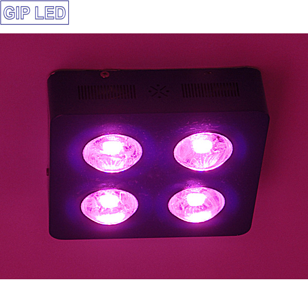 High PAR Value LED Grow Light COB 504W for Hemps