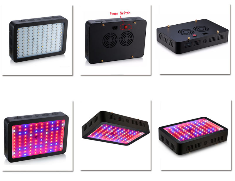 600W Full Spectrum High Yield LED Grow Light