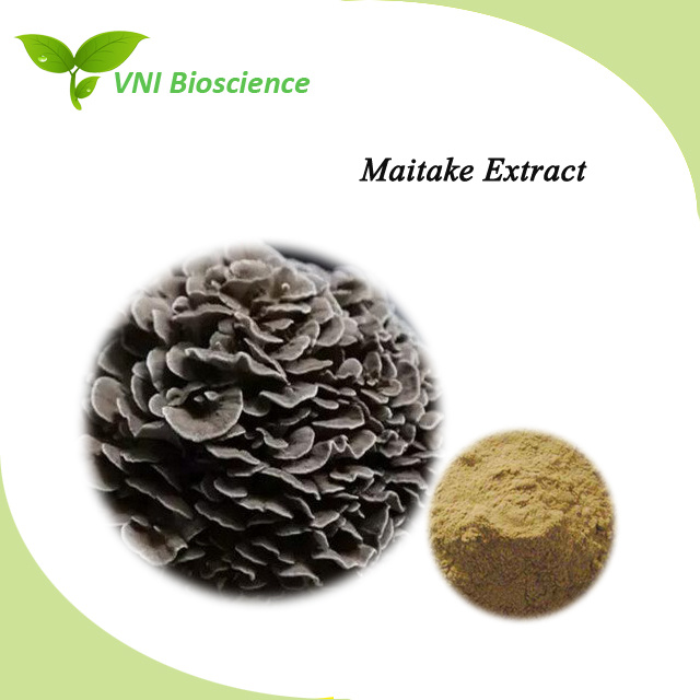 ISO SGS Certified Grifola Frondosa Plant Extract/Maitake Plant Extract in Polysaccharides