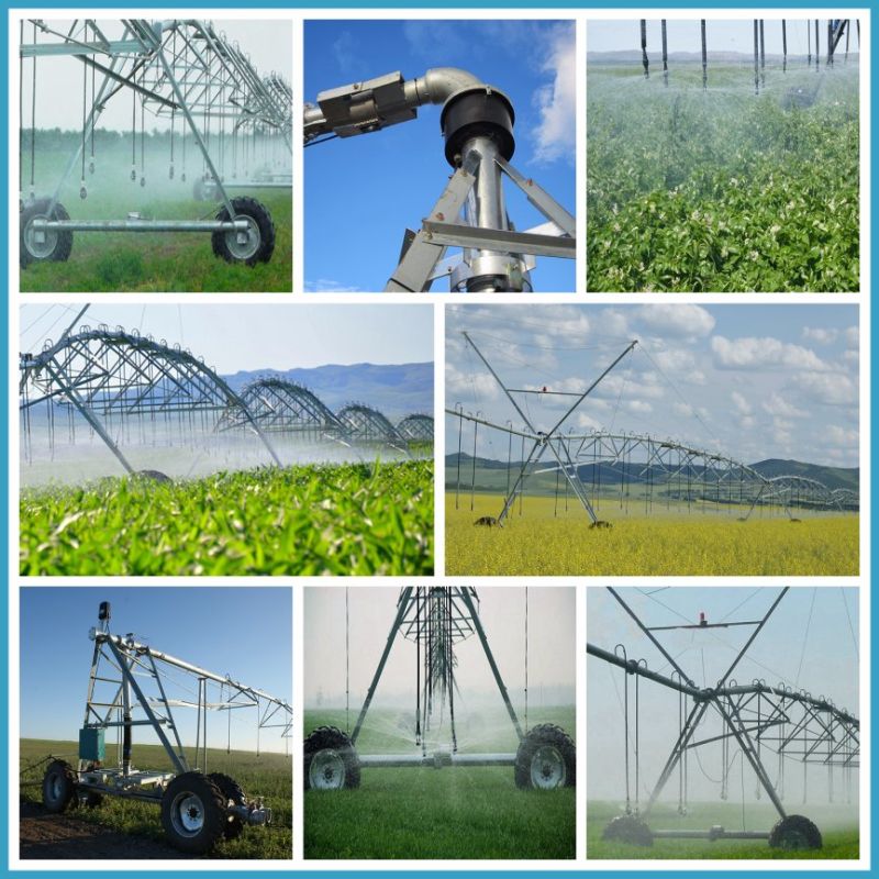 Agriculture Irrigation Machine/Farm Irrigation System/Sprinkler Irrigation