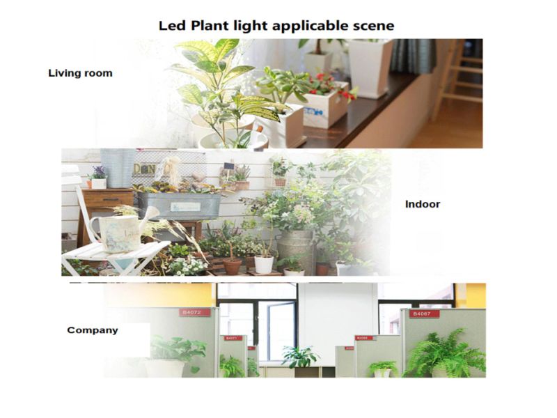 150W IP40 Plant Grow Light for Indoor Plants Growing