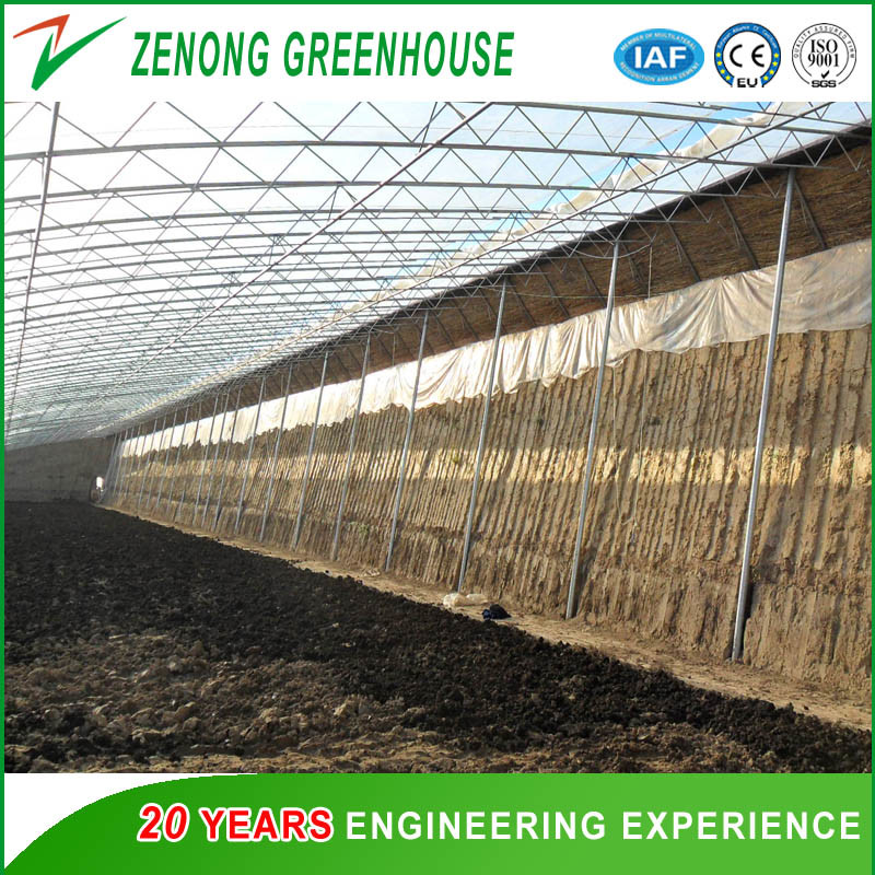 Hydroponic Cultivation System Single Span Greenhouse for Tomato/Cucumber/Celery