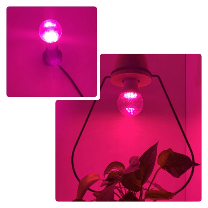 Full Spectrum LED Plant Grow Light Bulb G80 15W for Plant Growth