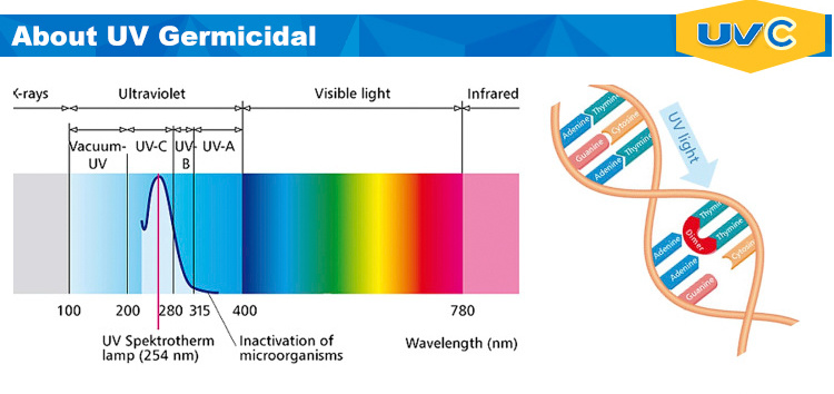 30W UV Lamp Gph620t5l 254nm UV Sterilizing Lamp