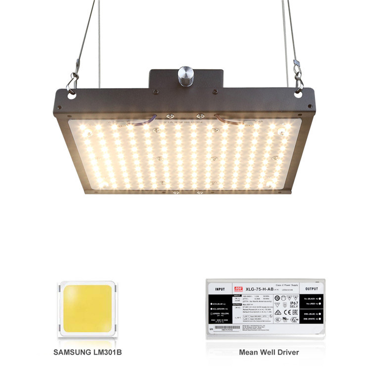 Dimmable Samsung Lm301b Lm301h Aeroponics Systems Quantom Board Grow Lamp