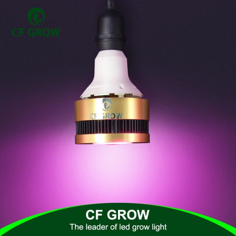 DIY 150W PAR150 LED Grow Light Full Spectrum for Indoor Planting Growing Cheap COB LED Grow Light