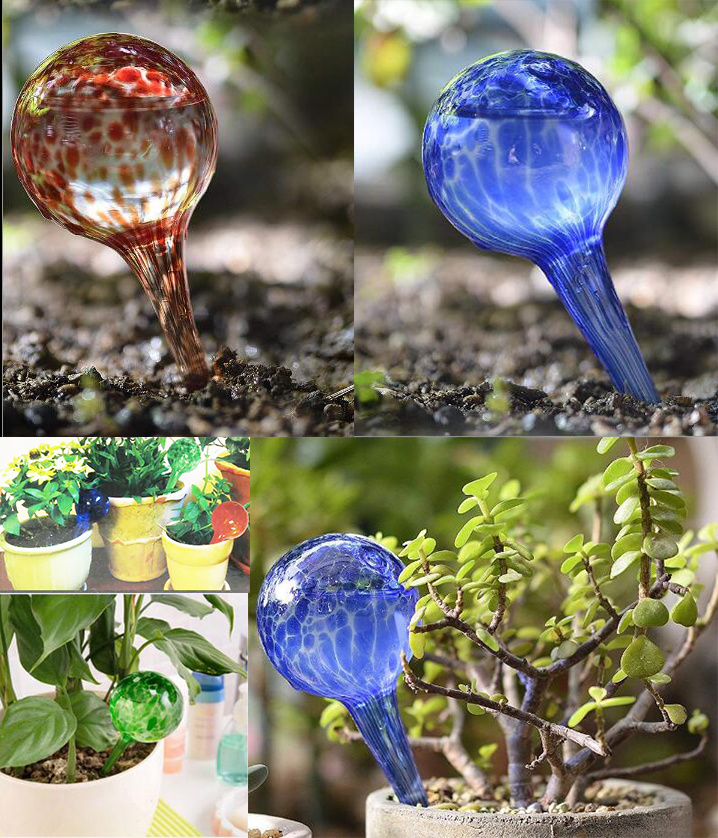 Glass Color Plant Watering Sphere Bulb/Plant Genie/The Gourd Shape Globe