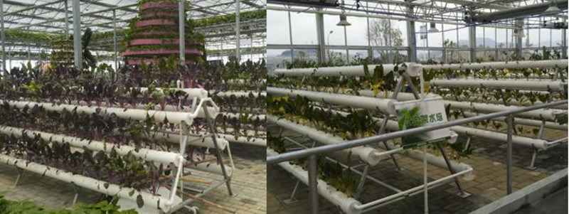 Commercial Soilless Cultivation Nft Hydroponic System Kinds of Hydroponic Equipment