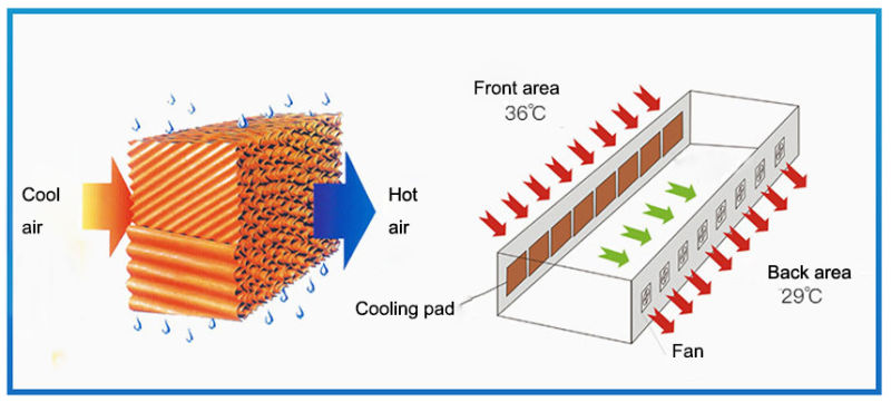 Cooling Fan for Greenhouse Ventilation