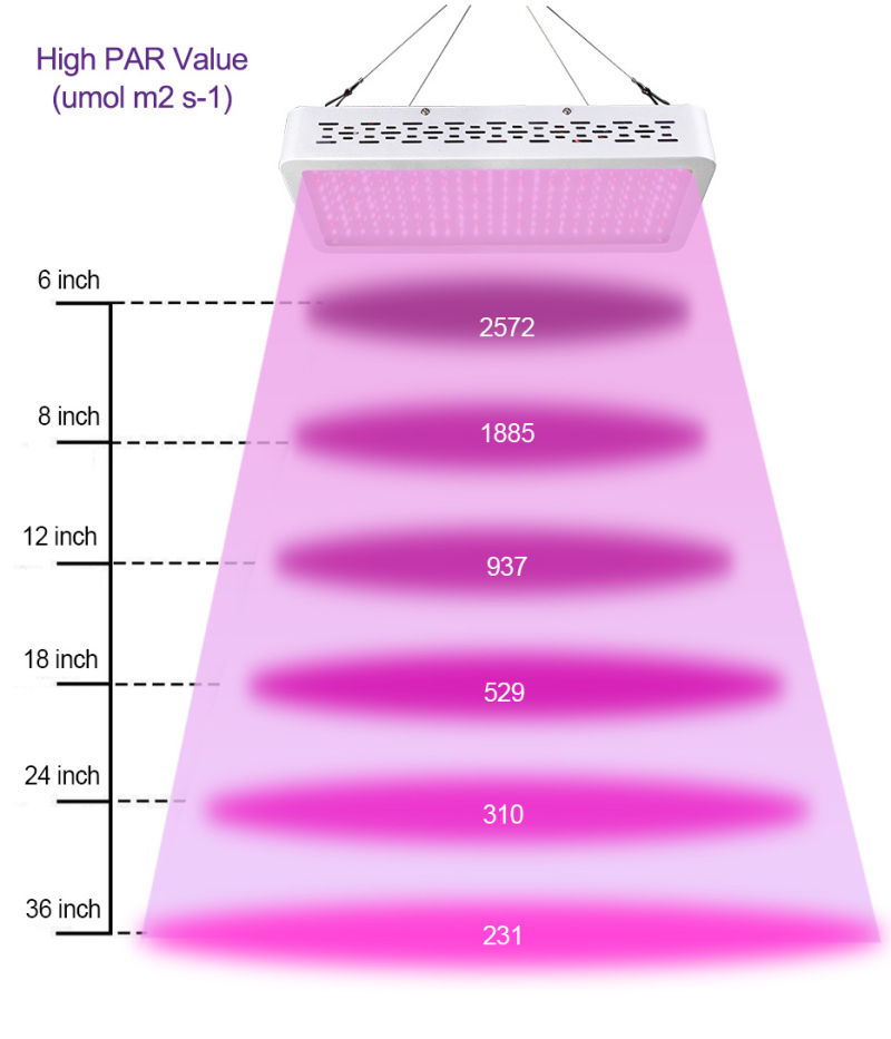 LED Light Growing LED Light Indoor Plants Light Full Spectrum