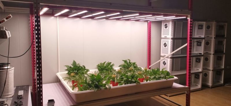 Horticulture Best LED Grow Lights with Passive Cooling System