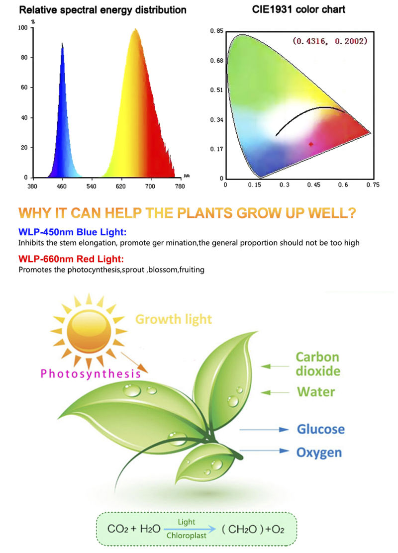 LED Grow Light Full Spectrum Grow Light Strip 2835 Chip LED Phyto Lamp for Plants 730nm Far Red LED Grow Lights