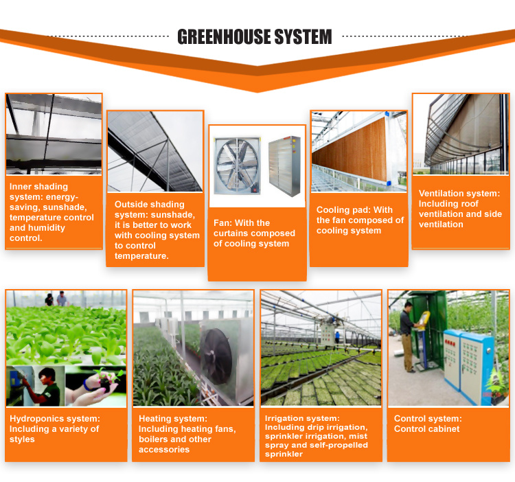 Agricultural Hydroponics Growing System Plant Garden Greenhouse for Sale