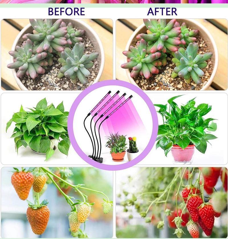 Grow Light for Indoor Commercial Plants Grow Lamps