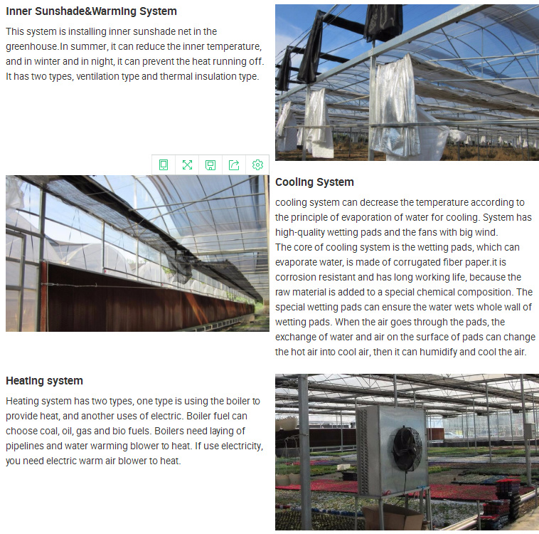 Hydroponic Growing Systems Greenhouse Film Farming Agricultural Greenhouses