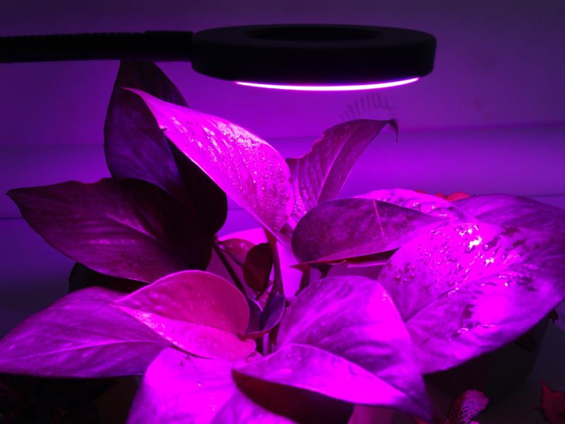 LED Clip Plant Lights Fill Light Dimming Color Separation Cycle Timing Clips Plant Lights