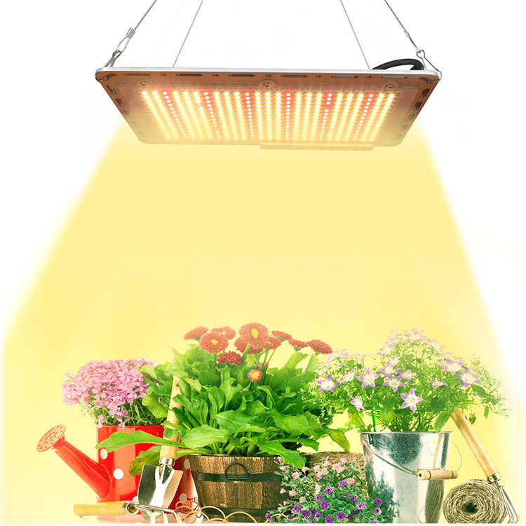 China Grow LED Lights LED Grow Light Panel IP65 Waterproof Full Spectrum Quantum LED Board Grow Light