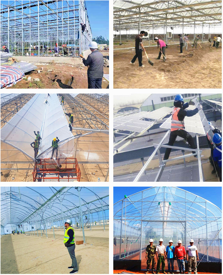 Multi Span Agricultural Film Greenhouse Tomato Greenhouse Strawberry Greenhouse