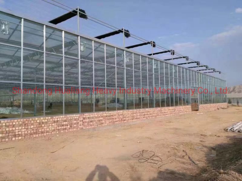 Agriculture Multi Span Polycarbonate Sheet Green House with Hydroponics