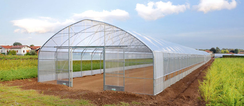 Multi Span Polyethylene Greenhouse Tomato Greenhouse