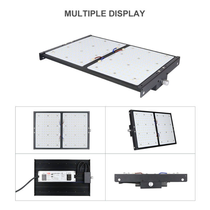 Samsung Lm301b Quantum Board Full Spectrum LED Grow Lights Dimmable LED Grow Light Hydroponic for Plants