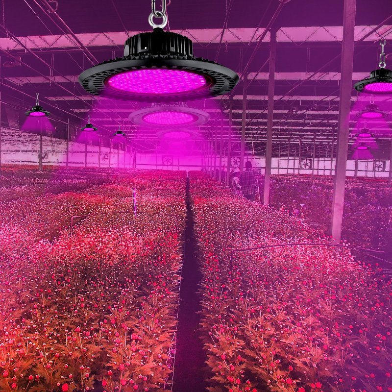 150W Spyder LED Grow Light 100W 200W 150W UFO LED Plant Grow Light