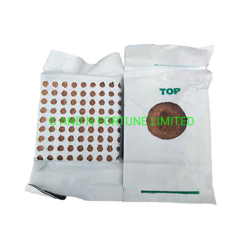 Hydroponics Cocopeat Grow Bags Slabs for Pepper Grow Bags Coco Peat Block