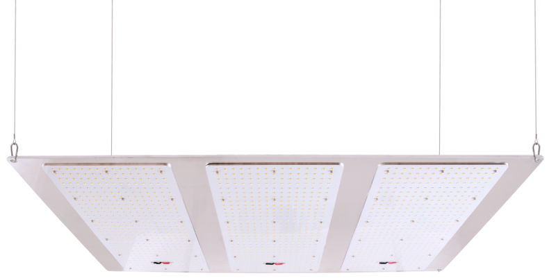 White Red Full Spectrum Indoor Medicinal Plants Factory 640W LED Grow Light