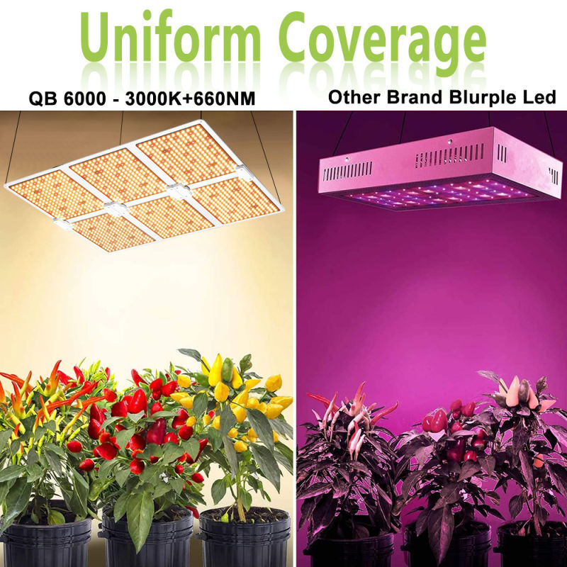 Full Spectrum Full Spectrum LED Grow Light Quantum Panel for Indoor Plants