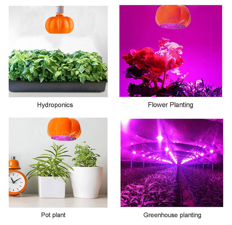 E27 PAR 48W Pumpkin Shape LED Grow Light LED Plant Grow Light